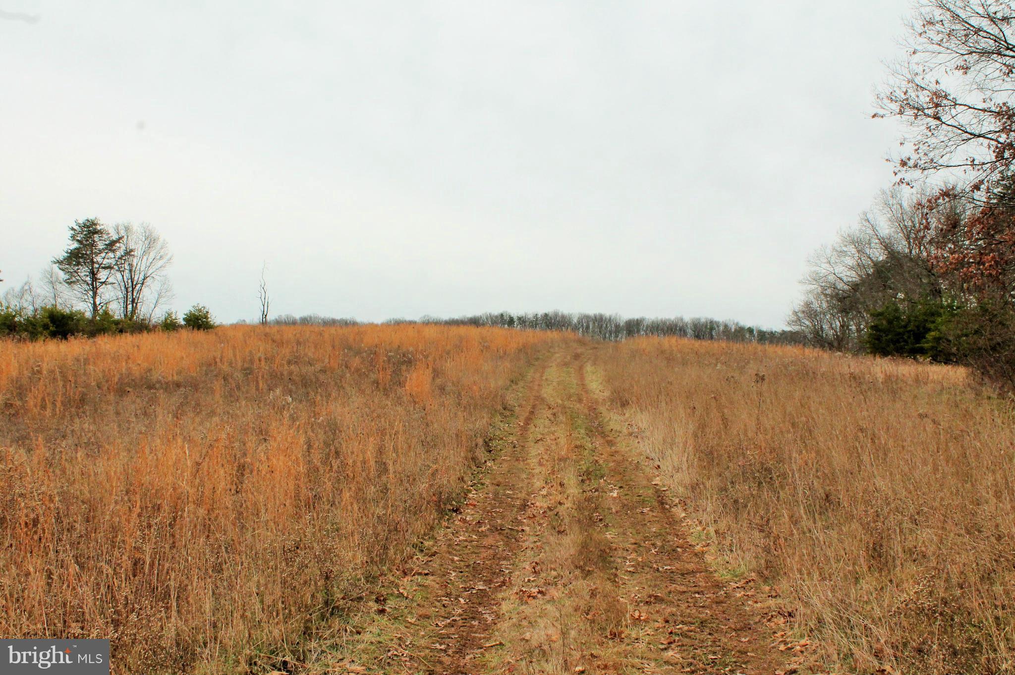 NONE AVAILABLE - Land