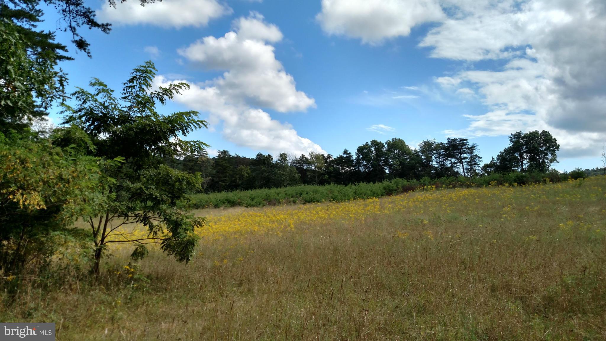 NONE AVAILABLE - Land