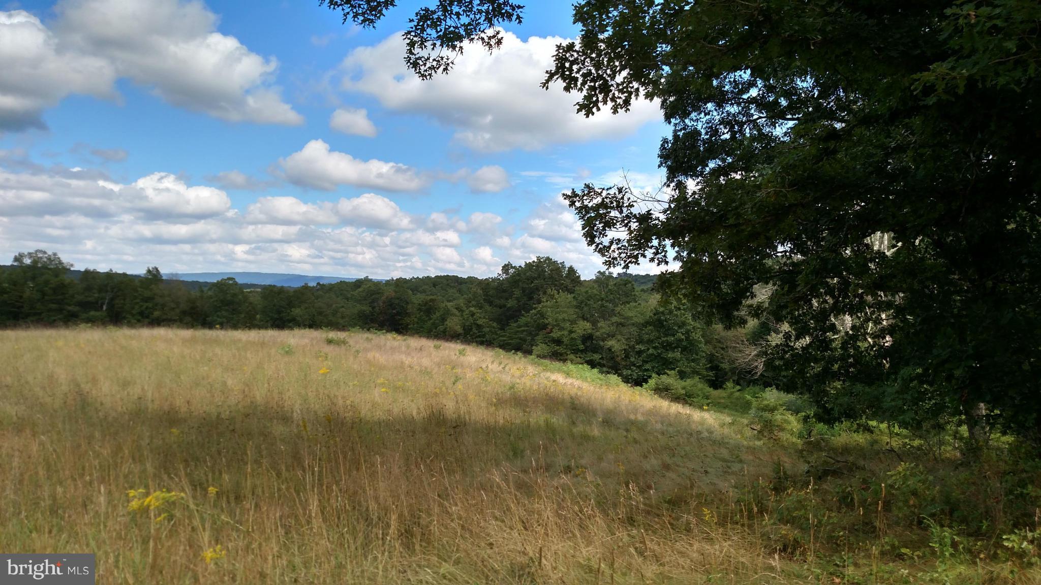 NONE AVAILABLE - Land