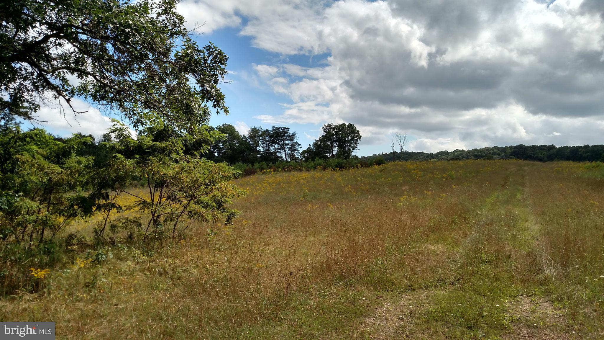 NONE AVAILABLE - Land