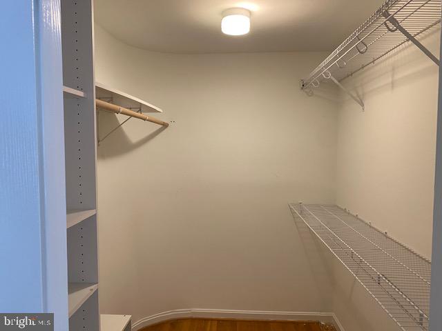 CARDINAL FOREST - Residential Lease