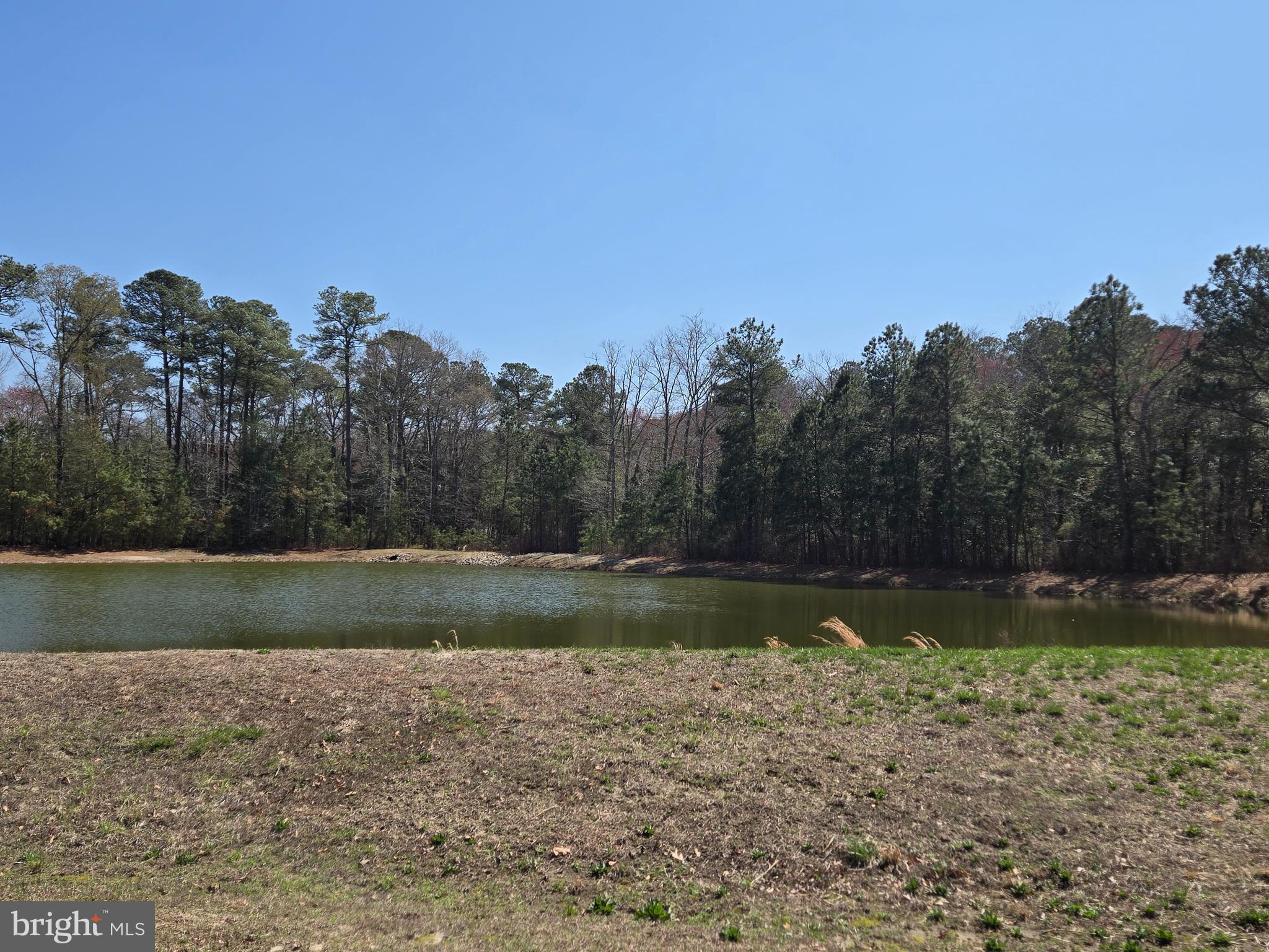 23360 GREENBANK DRIVE