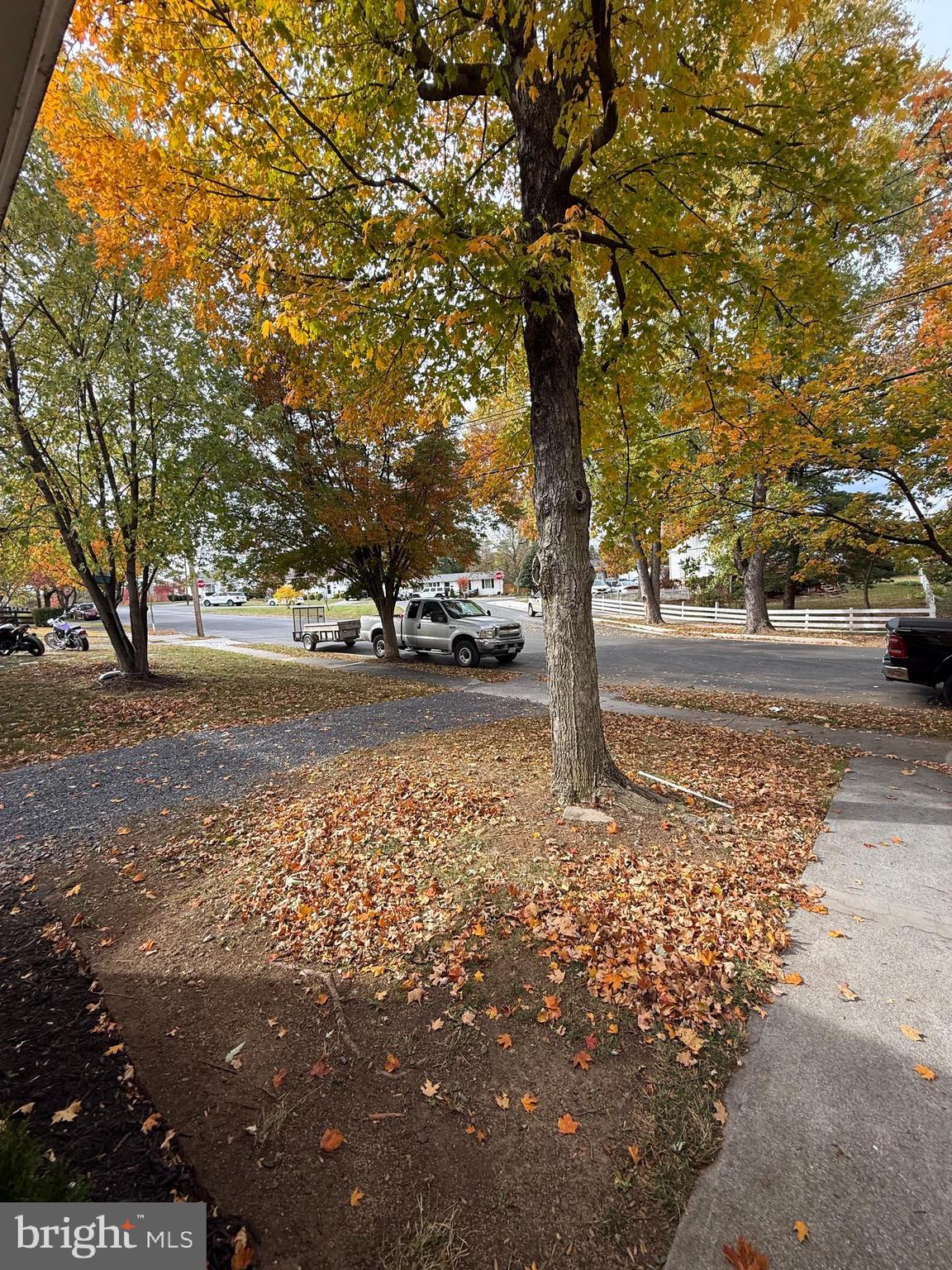 FOREST HILLS - Residential Lease