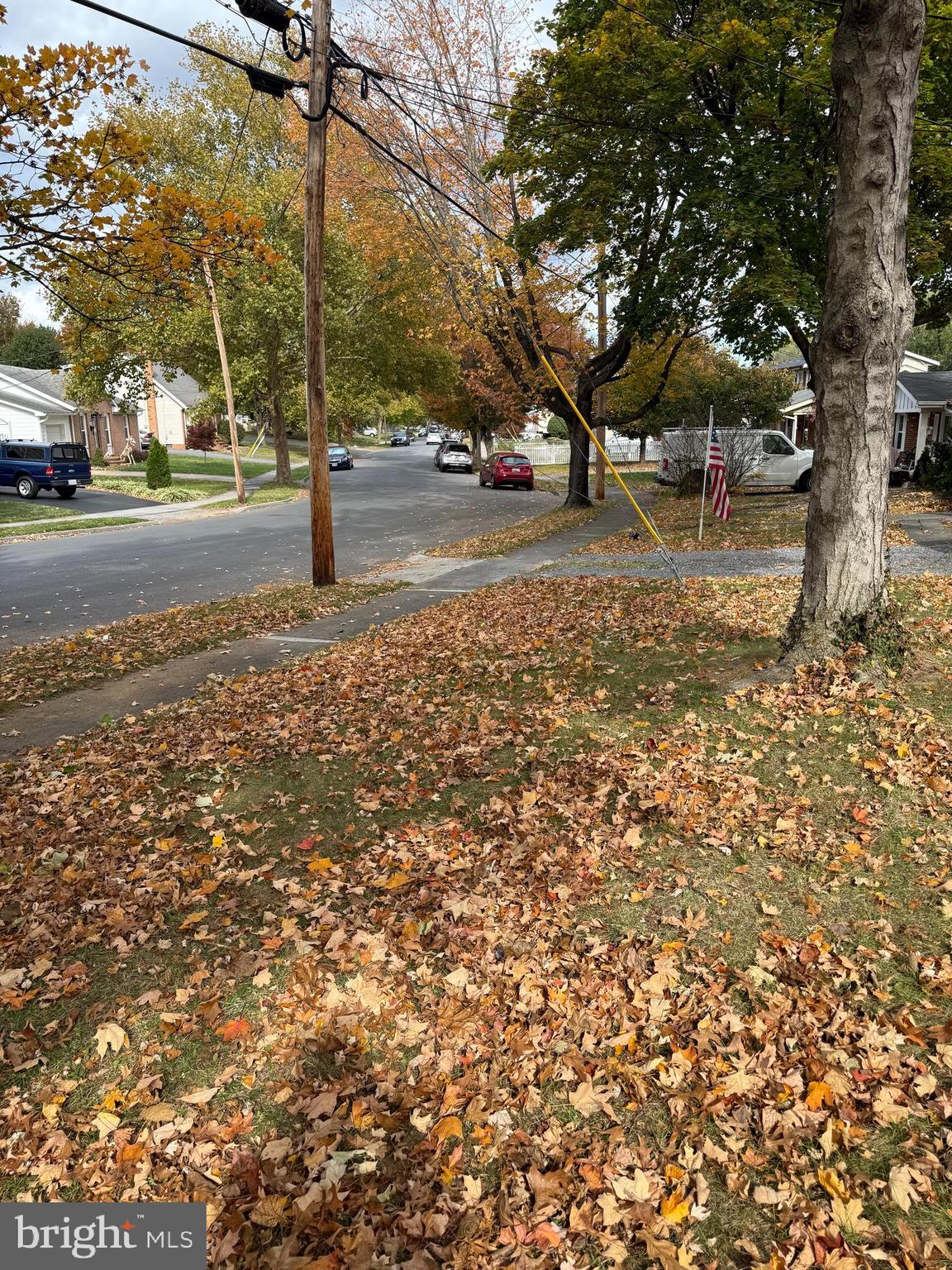 FOREST HILLS - Residential Lease