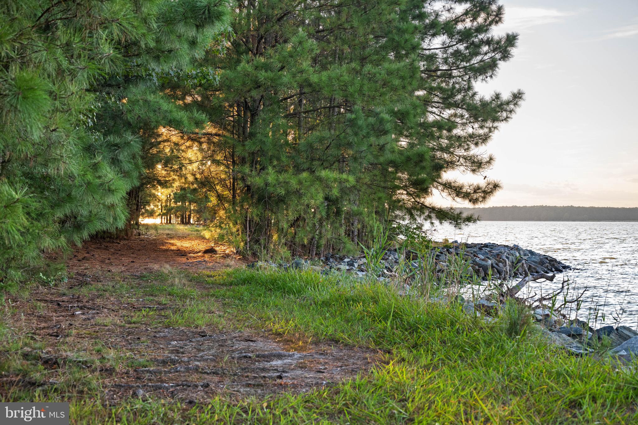 DEEP NECK - Residential