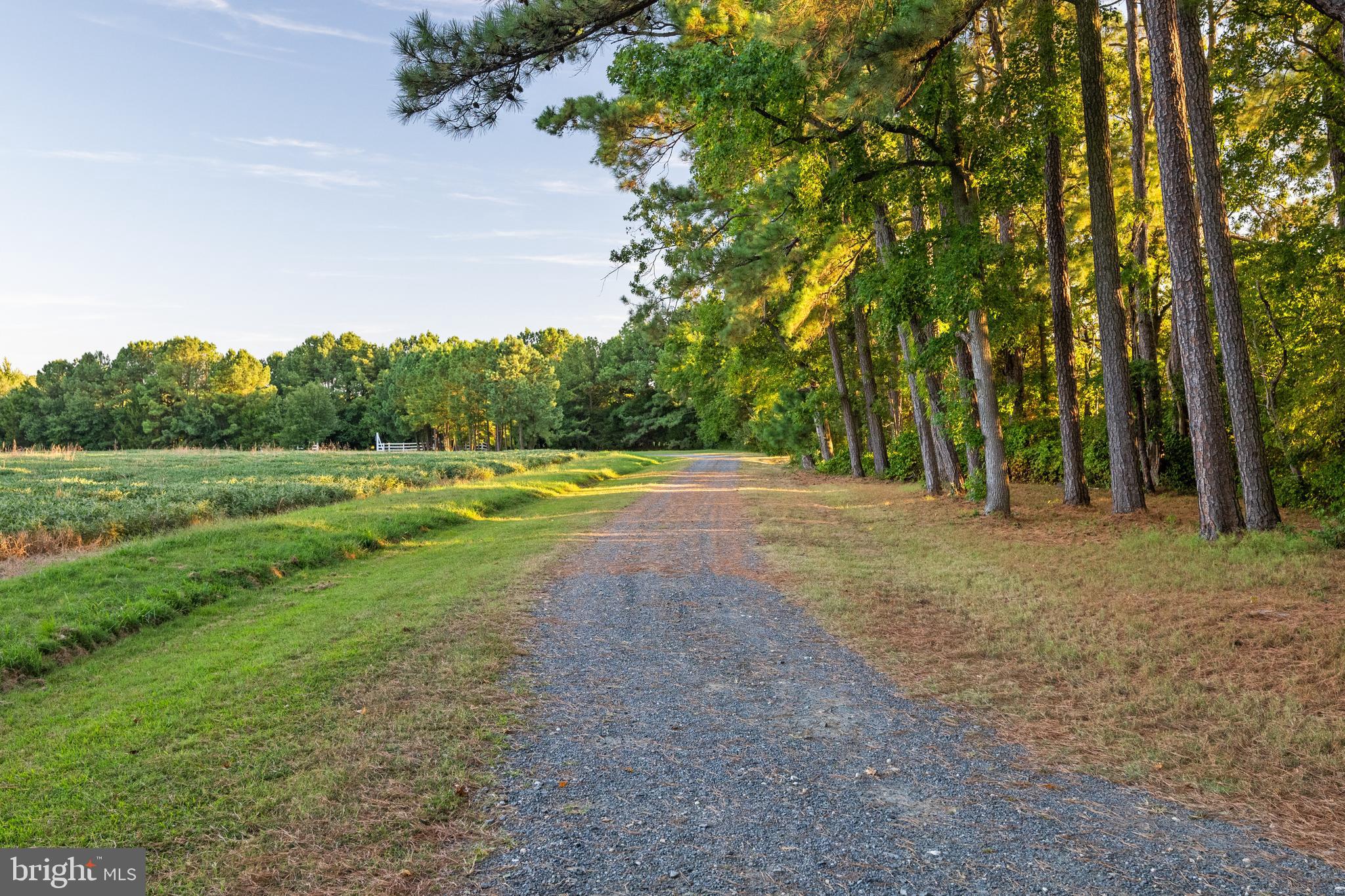 DEEP NECK - Residential