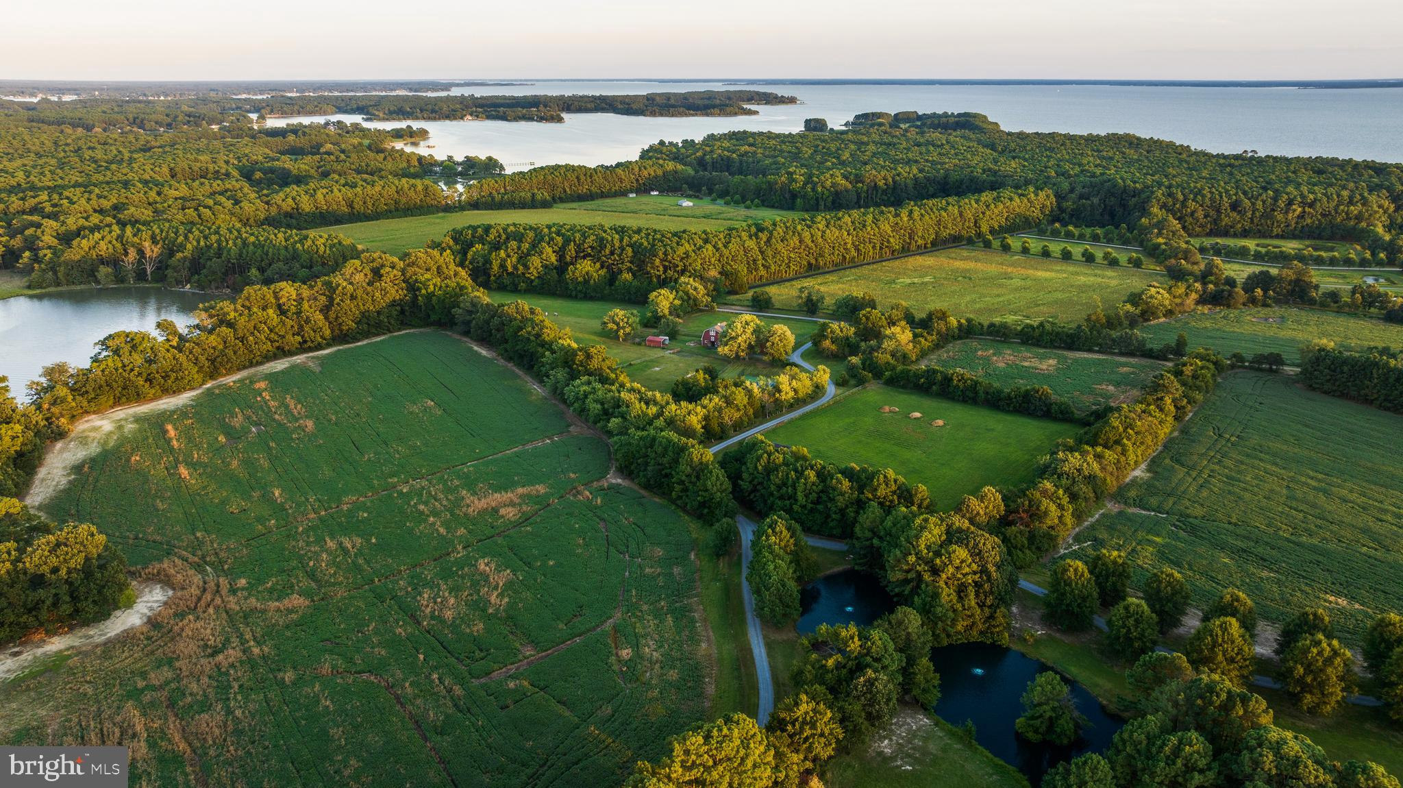 DEEP NECK - Residential