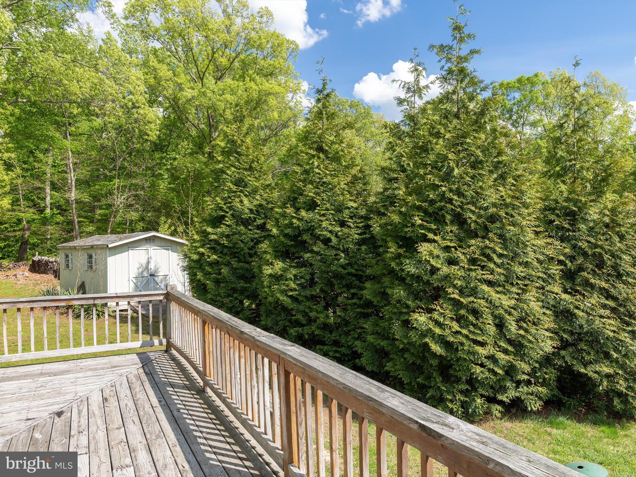 EUTAW FOREST - Residential