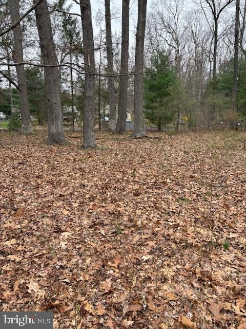 1716 SNYDER ROAD