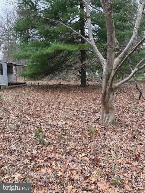 1716 SNYDER ROAD