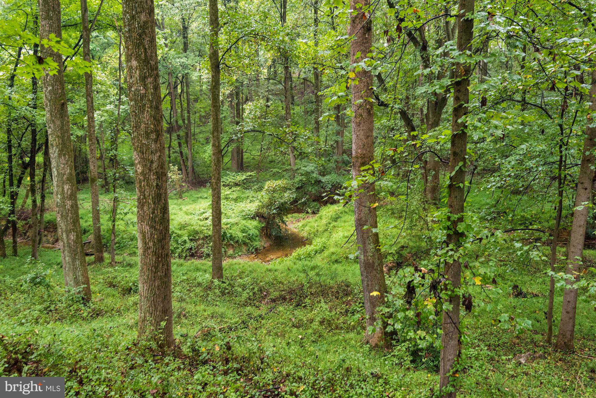 LANGLEY OAKS - Residential