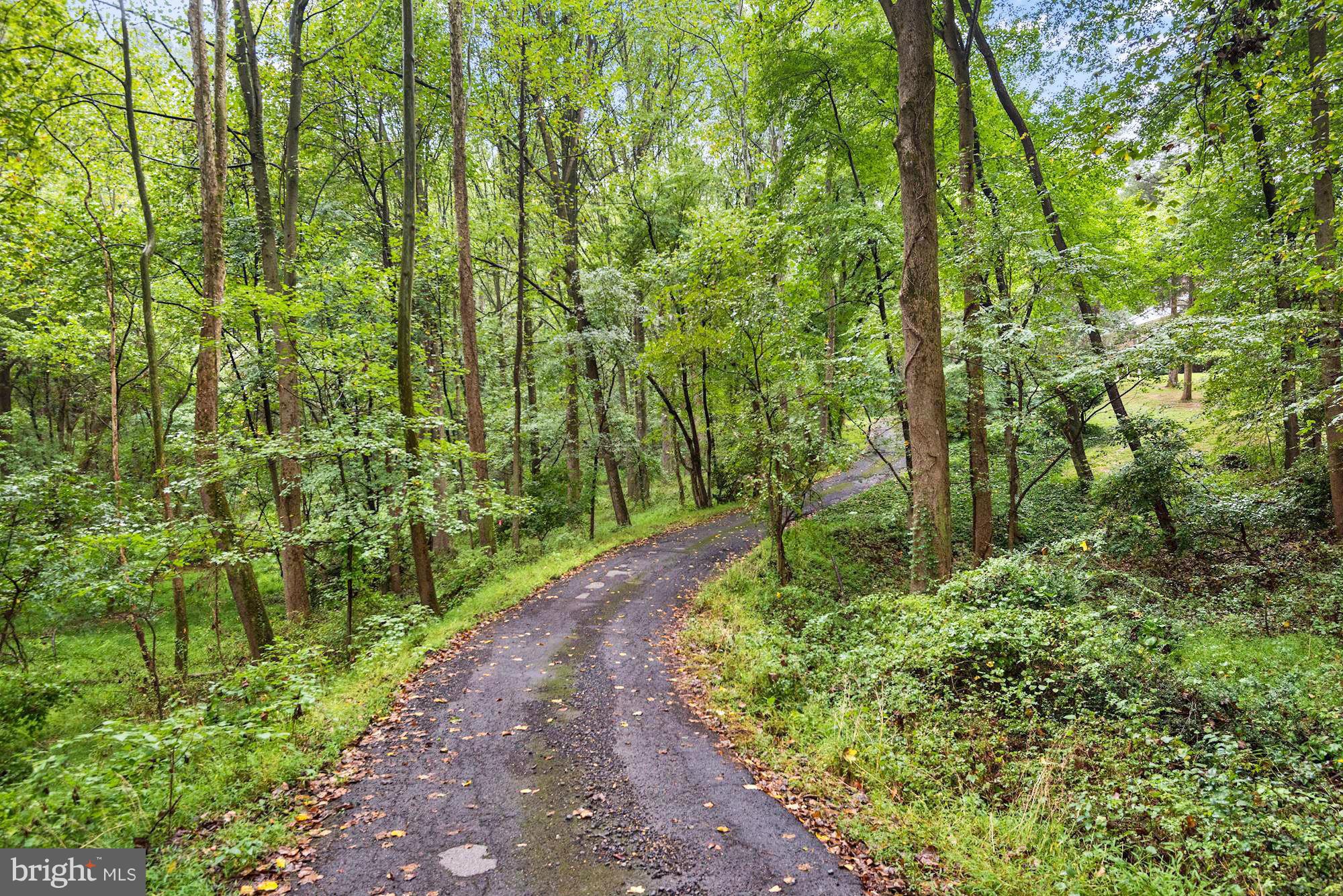 LANGLEY OAKS - Residential