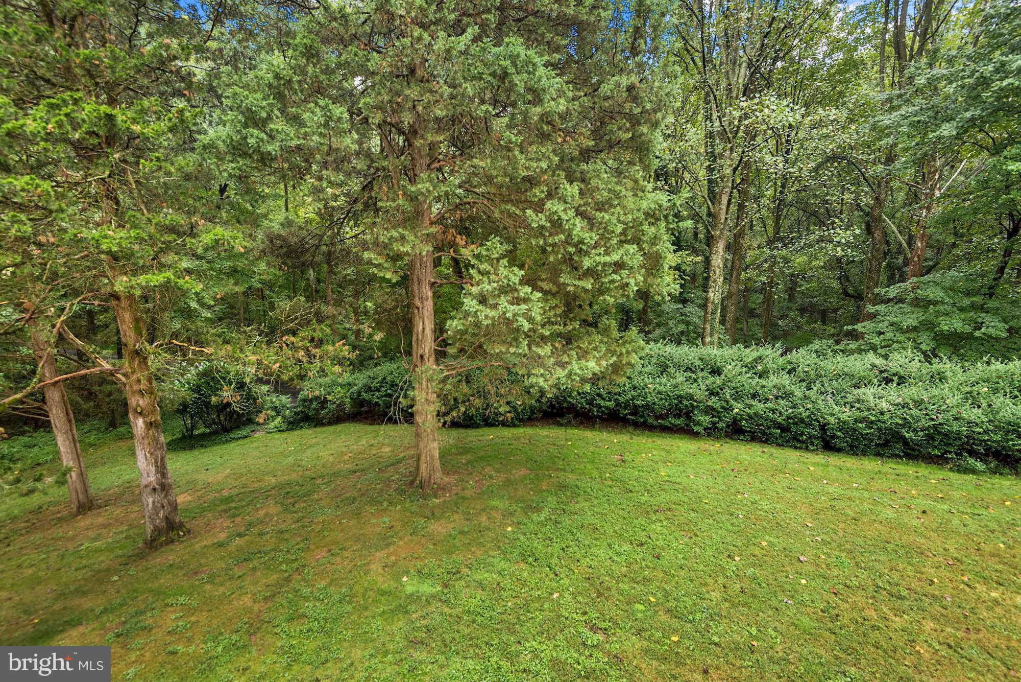 LANGLEY OAKS - Residential