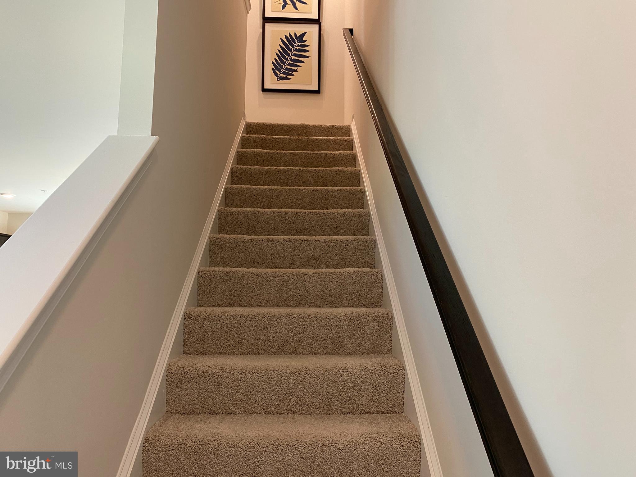 WOODMORE OVERLOOK - Residential