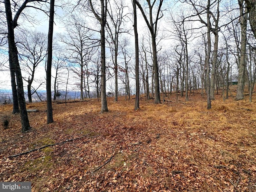Five Acres. Big Views. No Waste. This 5.11-acre tract of fully wooded mountain land is located in a quiet subdivision near Old Fields, West Virginia, deep in the heart of Hardy County and within an easy two-hour drive of the Baltimore, Washington, and Northern Virginia area. This is the kind of property buyers are truly looking for—but rarely find. Positioned prominently on top of the mountain, the tract is covered in towering hardwoods and offers tremendous western views, delivering sunsets that never get old. It’s an ideal setting for a weekend cabin, mountain retreat, or long-term getaway where privacy and scenery take center stage. The value proposition here is simple and compelling. Instead of purchasing a much larger tract with steep, unusable ground, this property delivers what actually matters: usable acreage, privacy, and a commanding view. You get the full mountain experience without paying for wasted land or unnecessary maintenance. Whether your vision is a modest cabin, a thoughtfully designed mountain home, or a private place to unplug and recharge, this tract offers an excellent balance of seclusion, scenery, and accessibility. Quality mountain land with big views—within reach of the city—is increasingly hard to find, especially at this size and scale. Build smart. Buy the view. Enjoy the sunsets for the rest of your life.