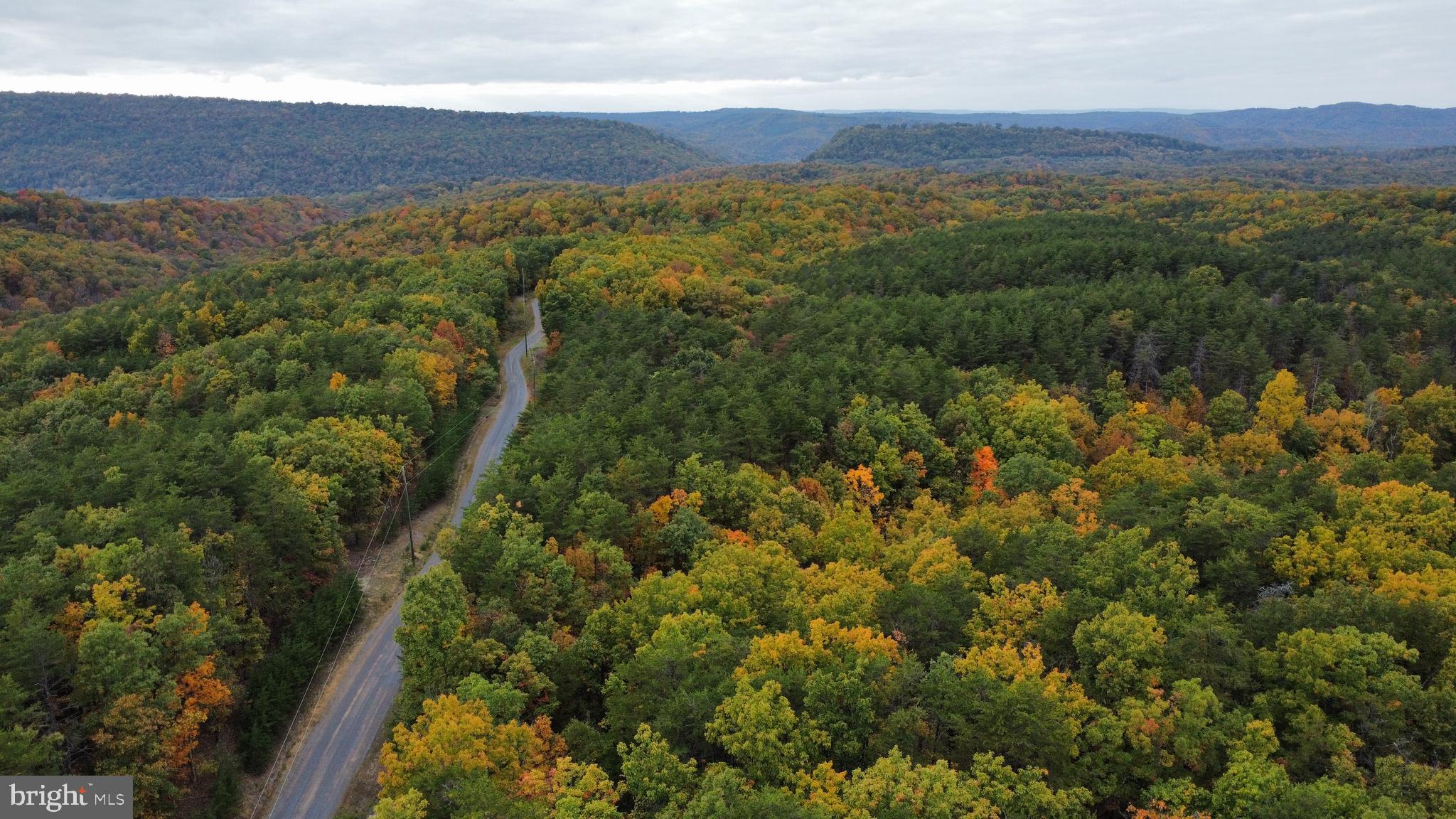 WELCOME TO LOT 14 IN THE RIDGES OF SOUTH BRANCH SUBDIVISION..WHERE IT'S JUST THAT-BEAUTIFUL ROLLING MOUNTAIN RIDGES CLOSE TO THE SOUTH BRANCH POTOMAC RIVER. BUILD, HUNT OR CAMP ON YOUR OWN 21+ ACRES. THE PROPERTY IS BEAUTIFULLY TUCKED AWAY IN THE SUBDIVISION MAKING IT FEEL LIKE YOUR OWN RETREAT! PUBLIC RIVER ACCESS IS A SHORT 10 MINUTE DRIVE FROM THE PROPERTY. TRAVELING FROM OR TO CUMBERLAND, MD IS A SHORT 35 MINUTES AND LESS THAN 2.5 HRS TO DC/METRO AREAS. WILDLIFE IS ABUNDANT- DEER, TURKEY, SQUIRREL, BALD EAGLES... COME TO WV AND EXPERIENCE WHAT NATURES TRULY HAS TO OFFER!