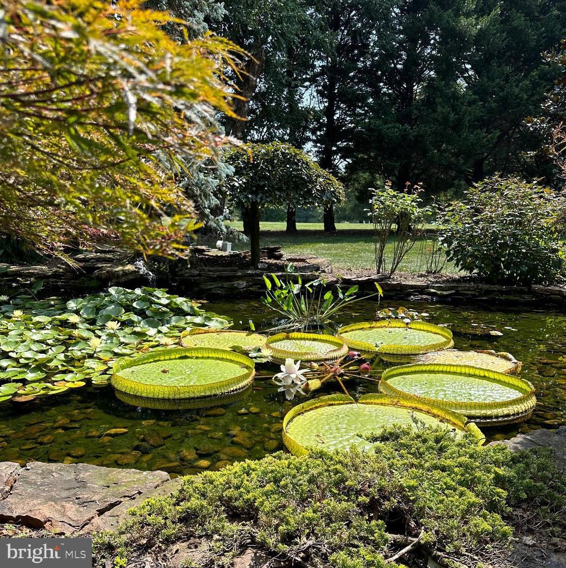 FANNELL'S MEADOW - Residential
