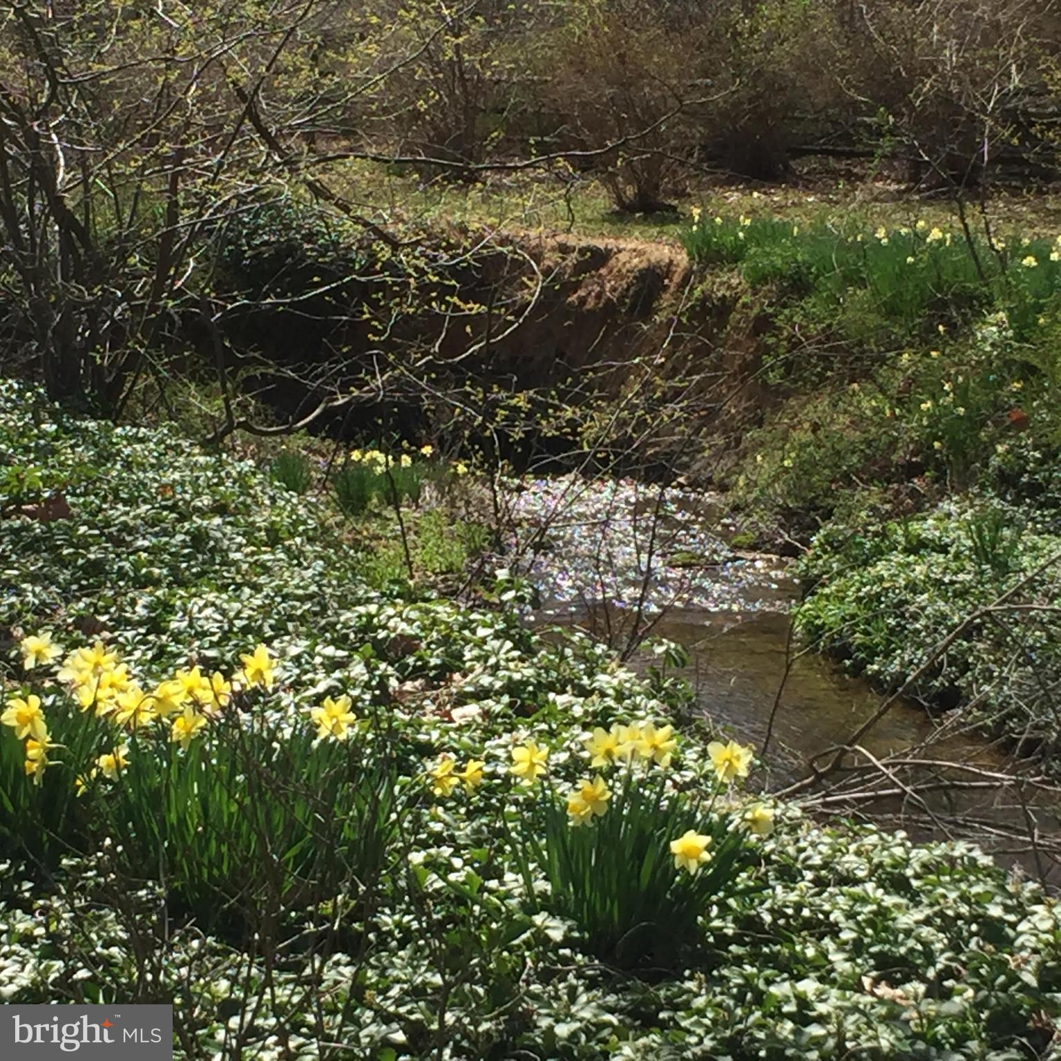 CAVES VALLEY - Residential