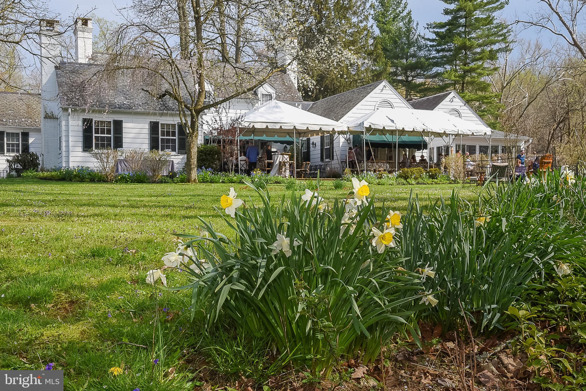 CAVES VALLEY - Residential