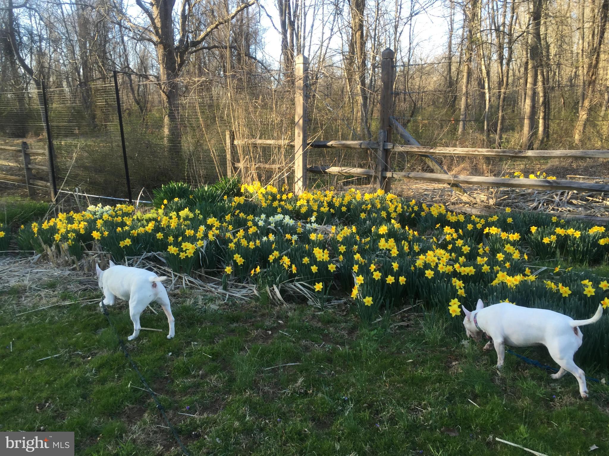 CAVES VALLEY - Residential