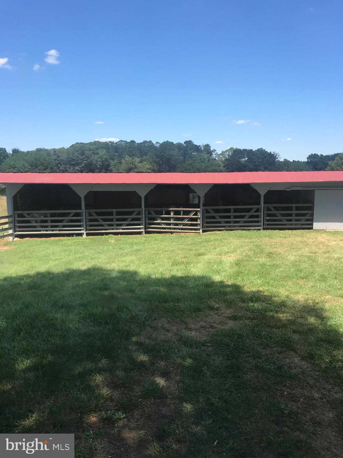 NONE AVAILABLE - Farm