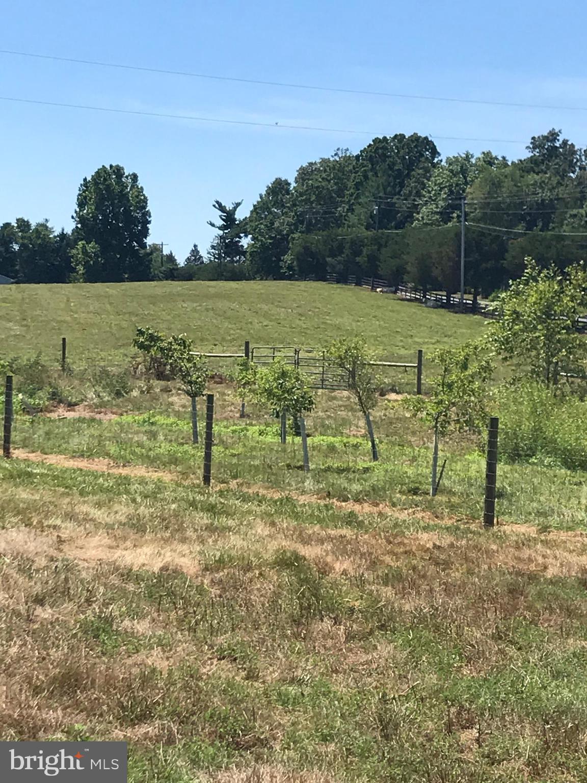 NONE AVAILABLE - Farm