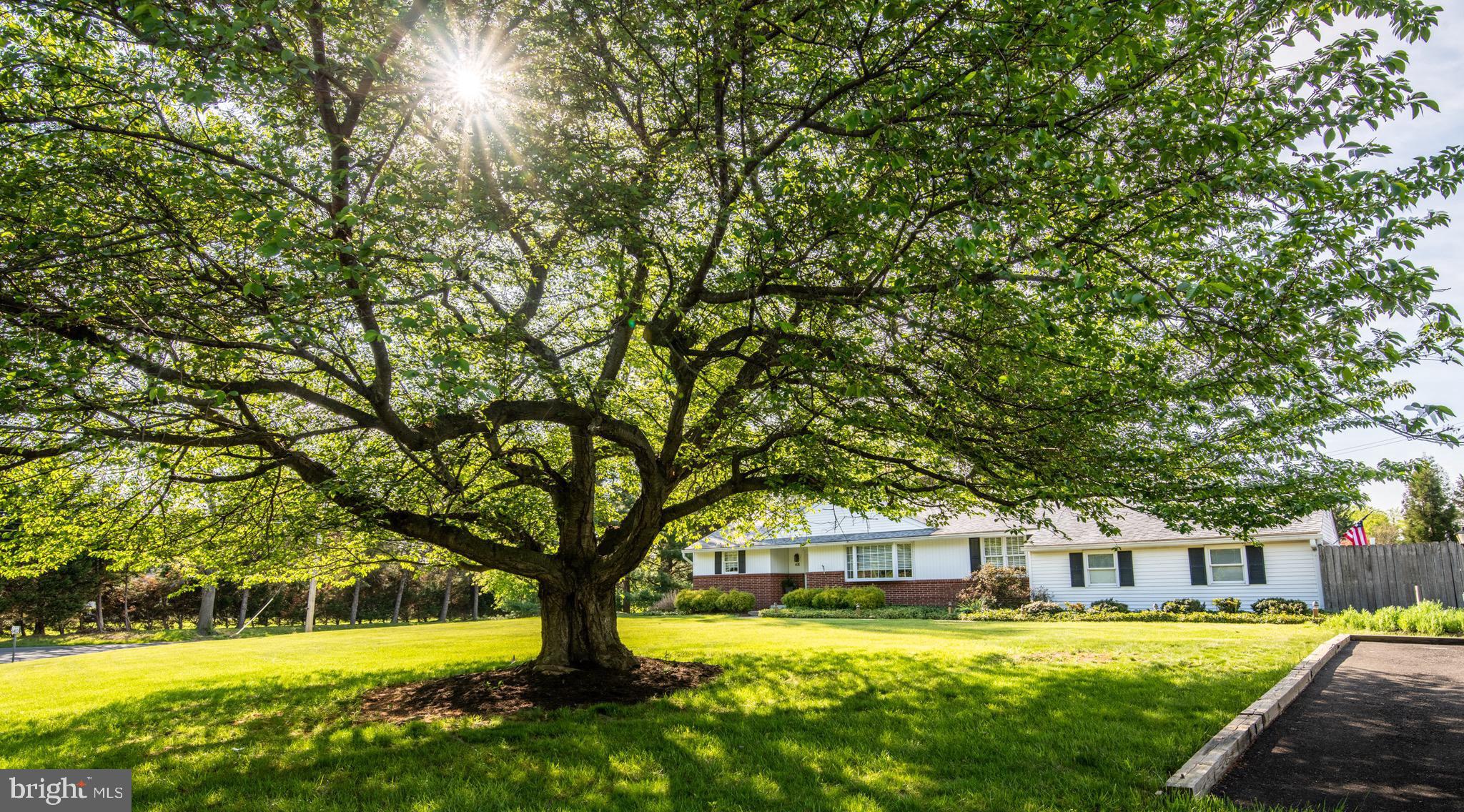 MILLWAY FARMS - Residential