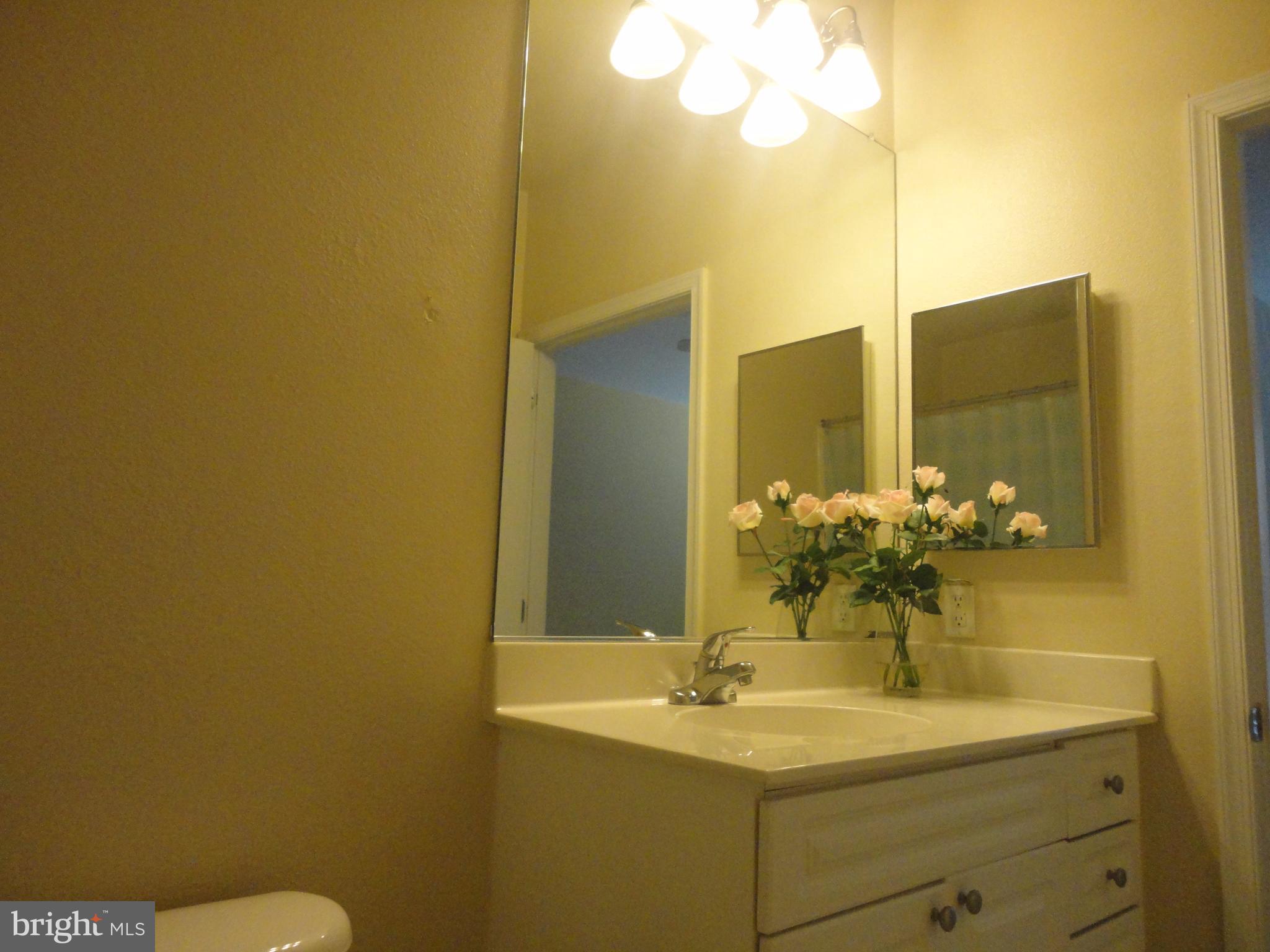 FITZ AT ROCKVILLE TOWN C - Residential Lease