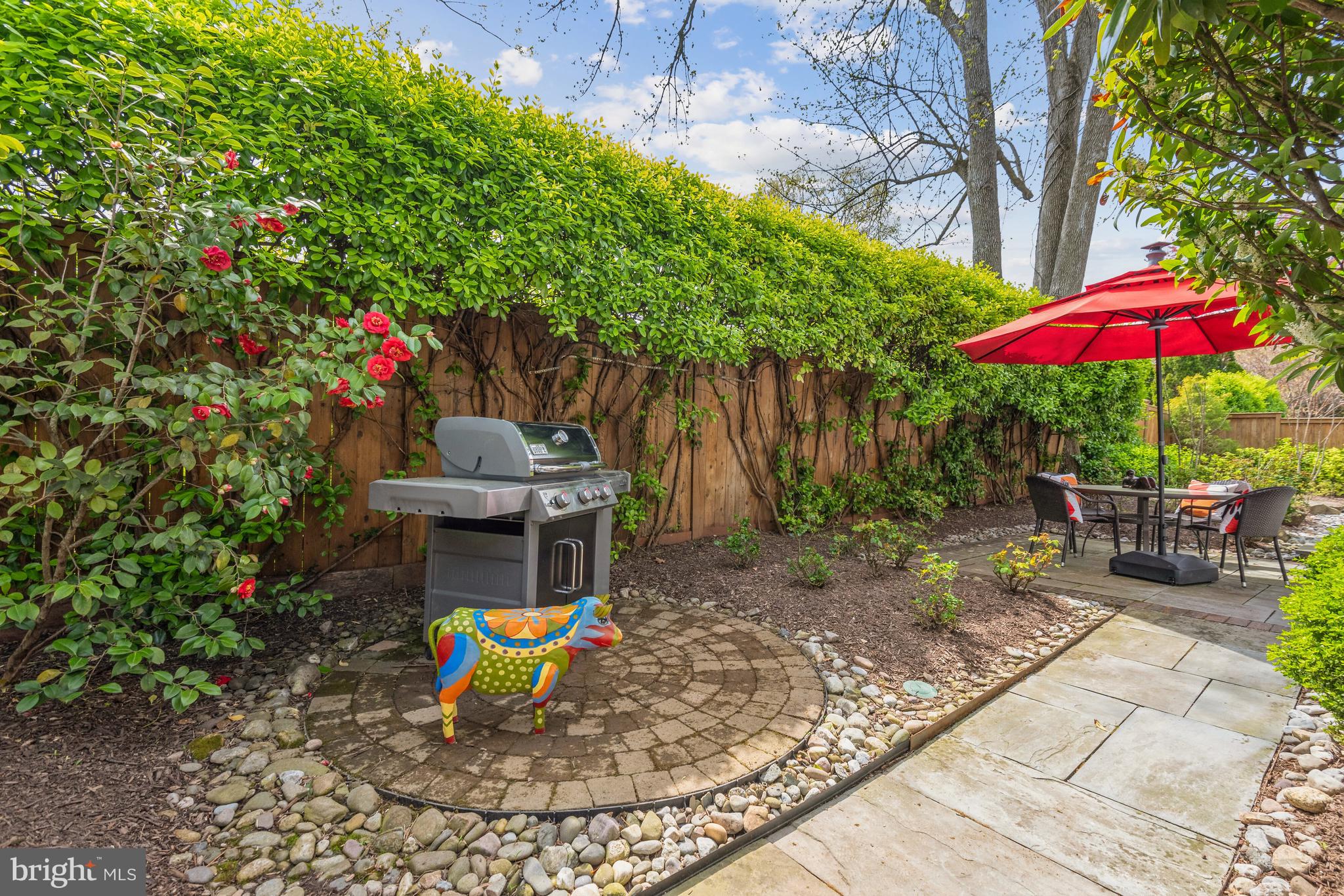 CHEVY CHASE - Residential