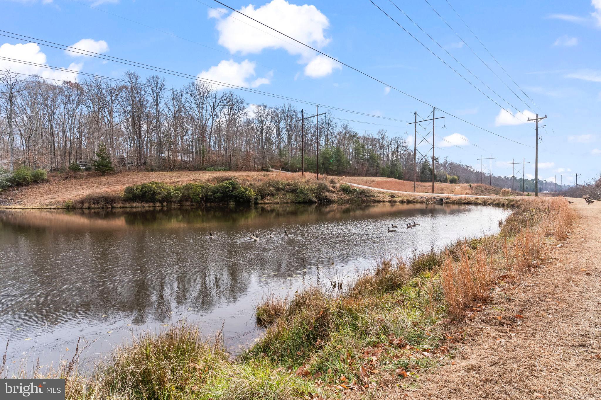 CAROLINE PINES - Residential