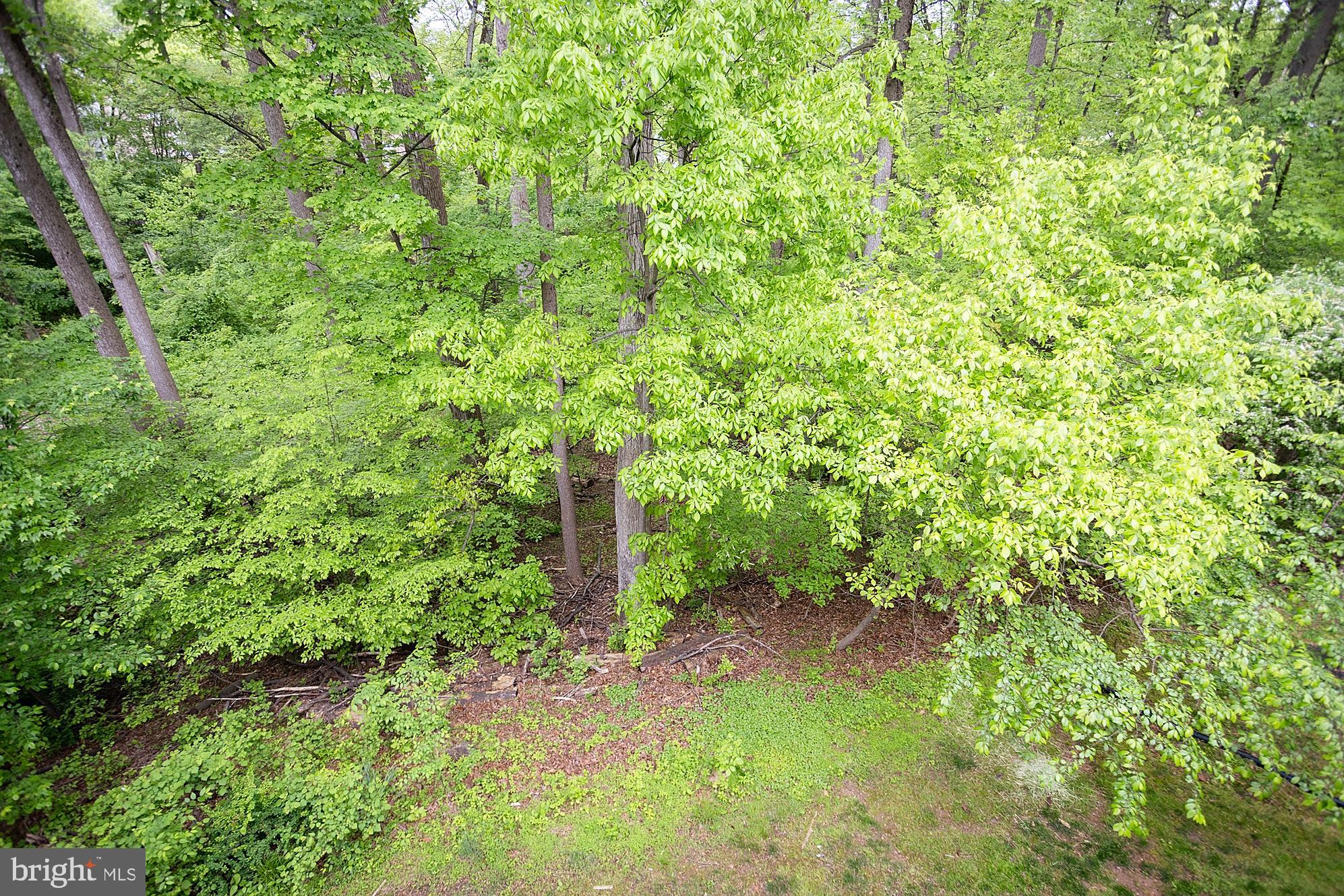 VILLAGE OF HICKORY RIDGE - Residential