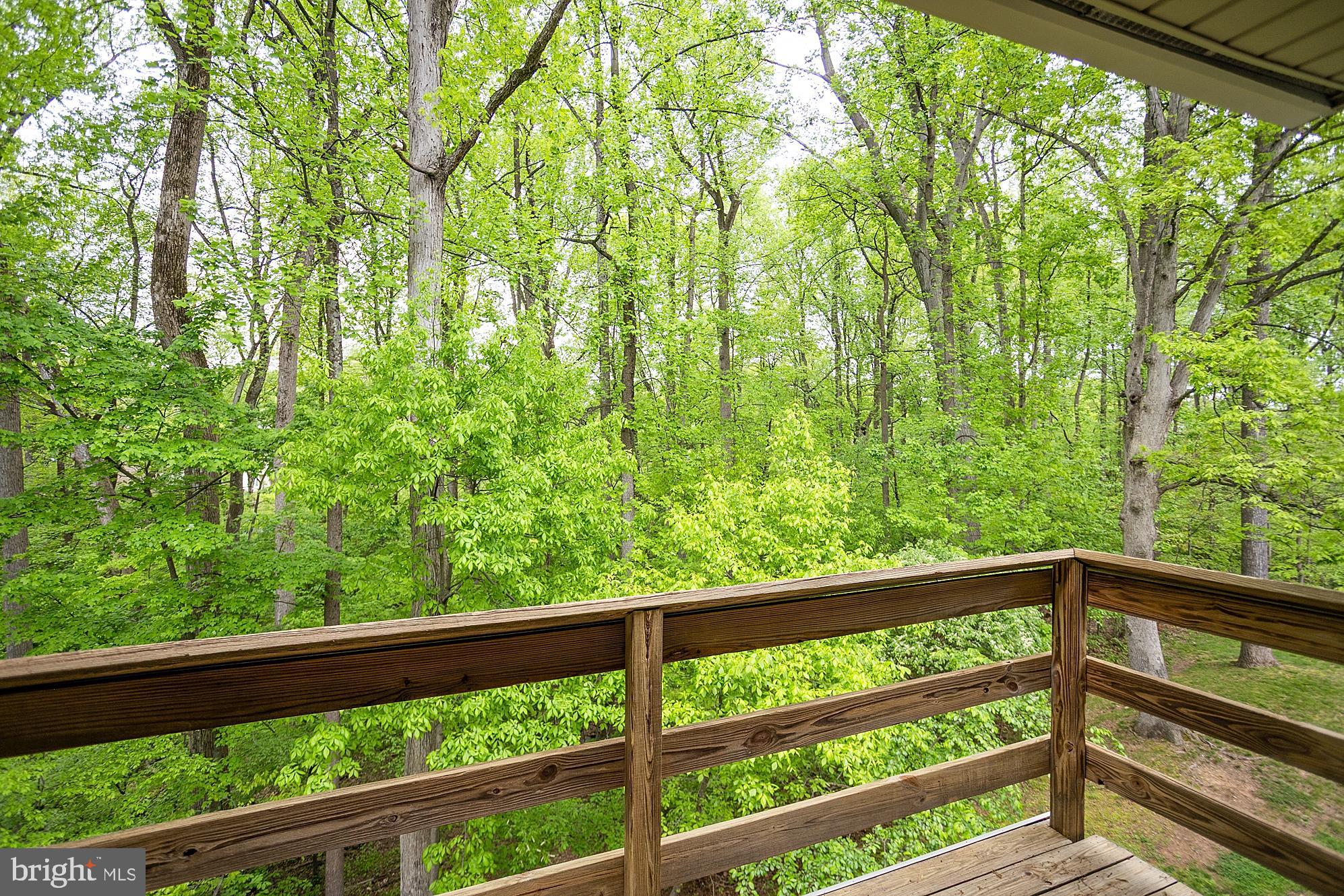 VILLAGE OF HICKORY RIDGE - Residential