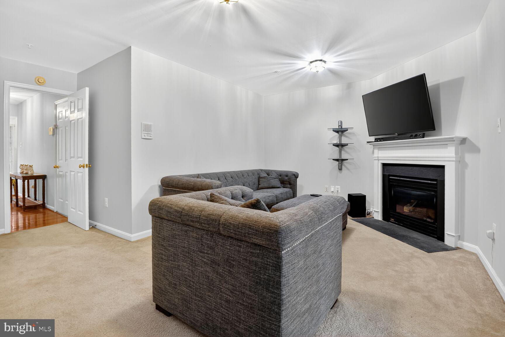 10619 IGNATIUS DIGGES DRIVE