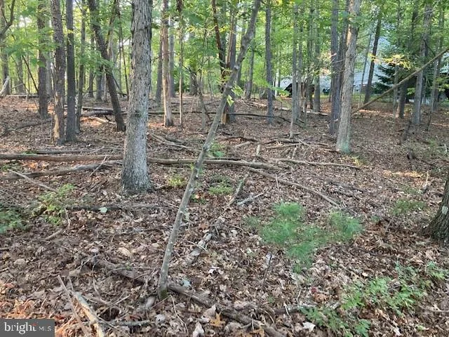 Nelson Way, Basye, VA 22810