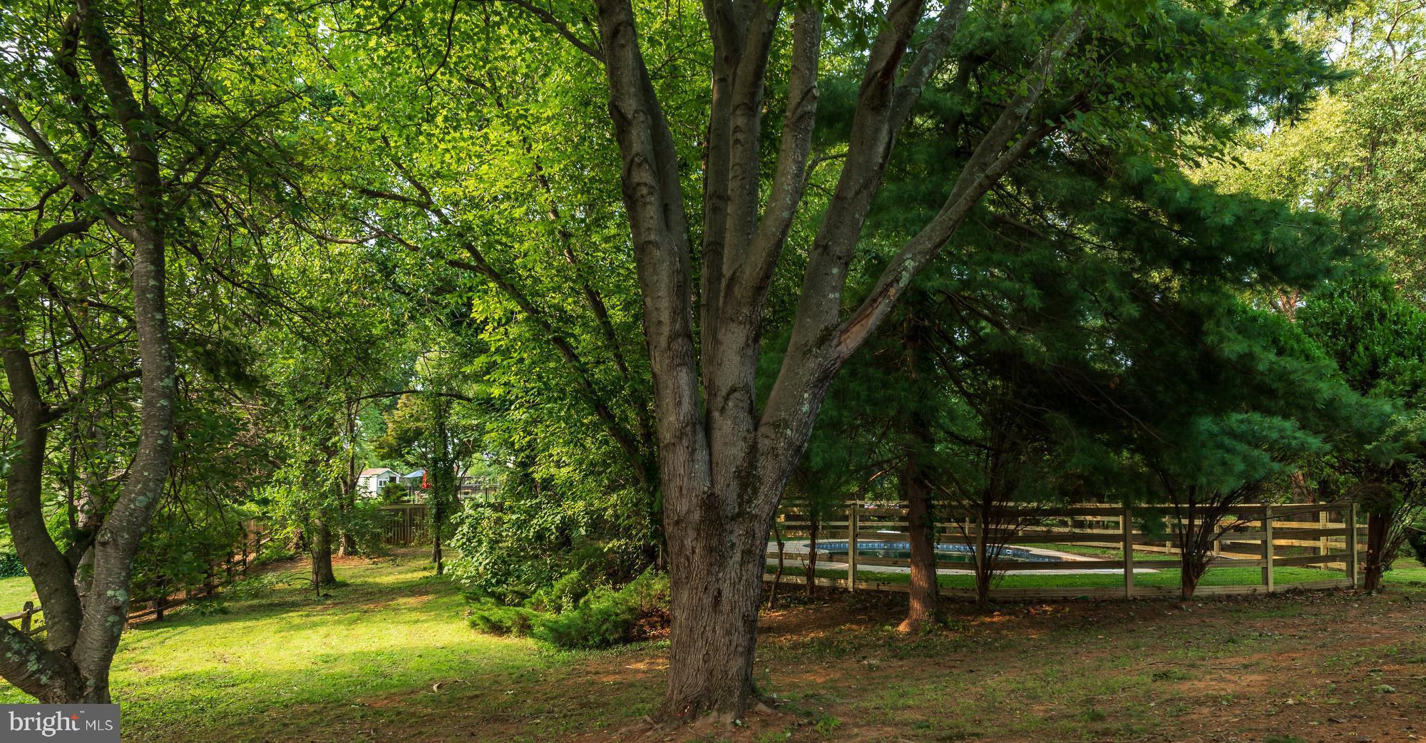 GOSHEN HUNT HILLS - Residential