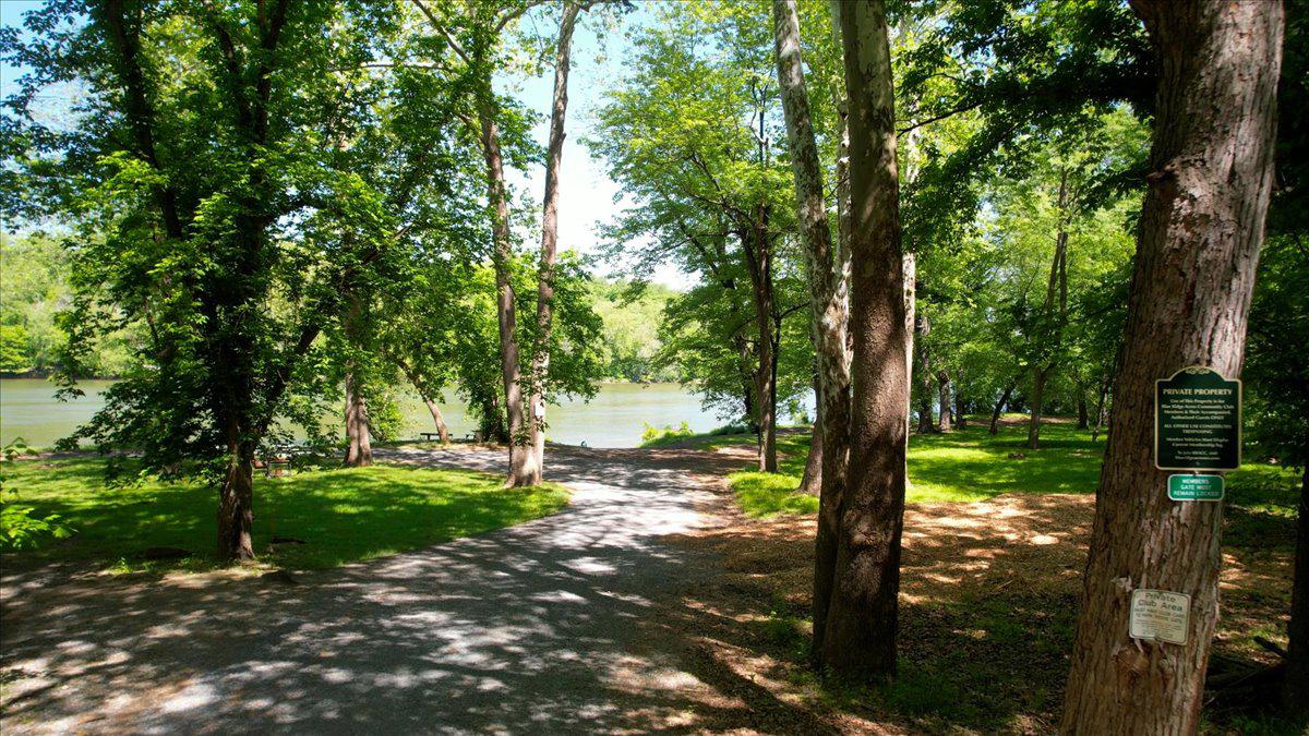 BLUE RIDGE ACRES - Residential