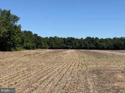 Vacant Land For Sale - 29199 Cordrey Road<br/> MILLSBORO, DE 19966