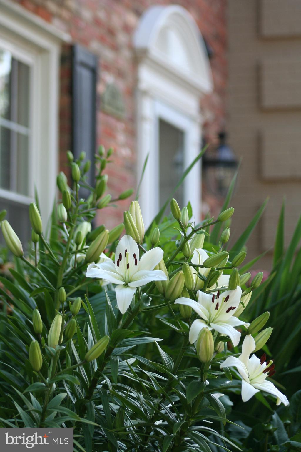 KINGS MANOR TOWNE HOUSES - Residential Lease