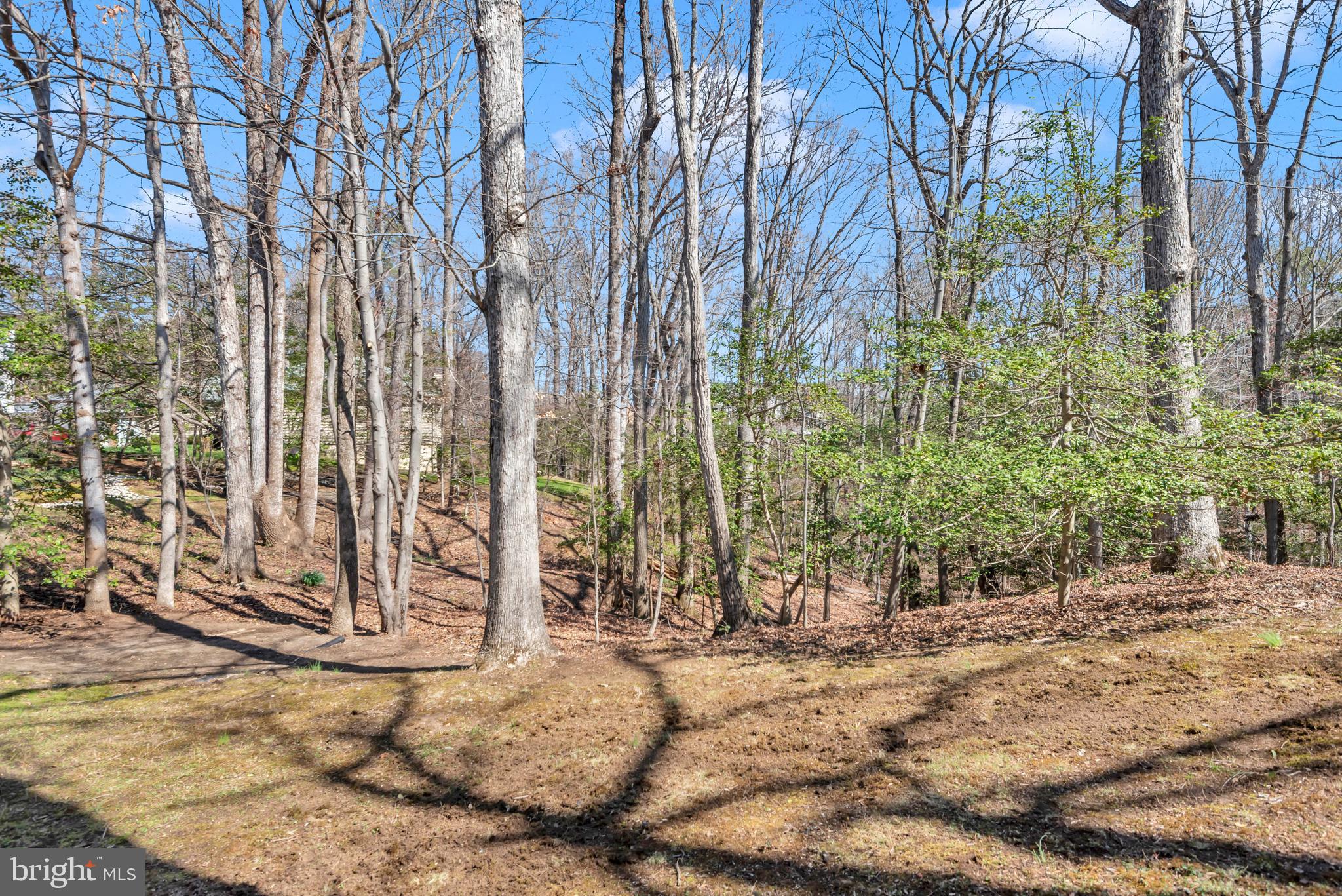 969 RUNNING BROOK WAY