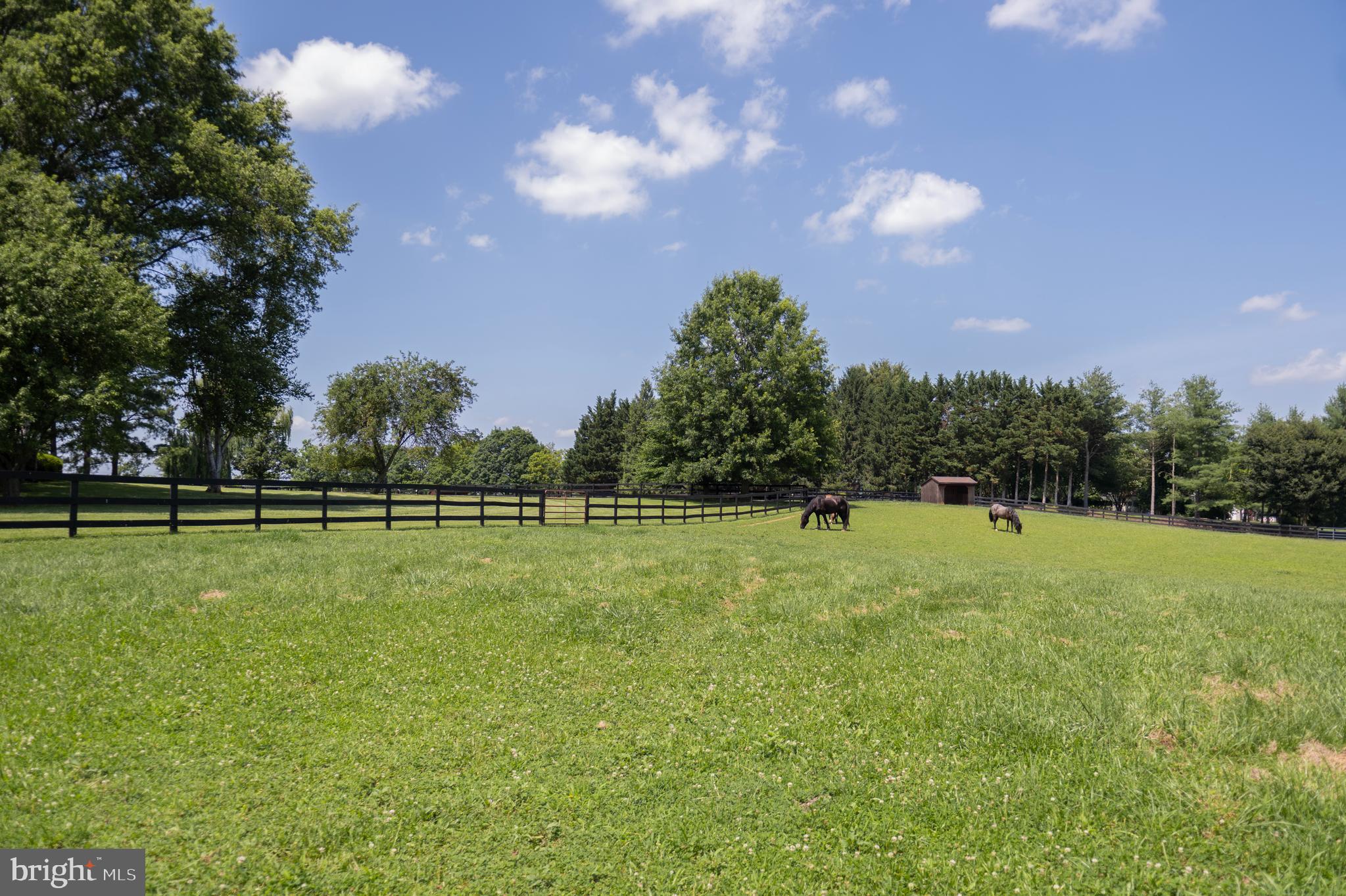 BENTON - Residential