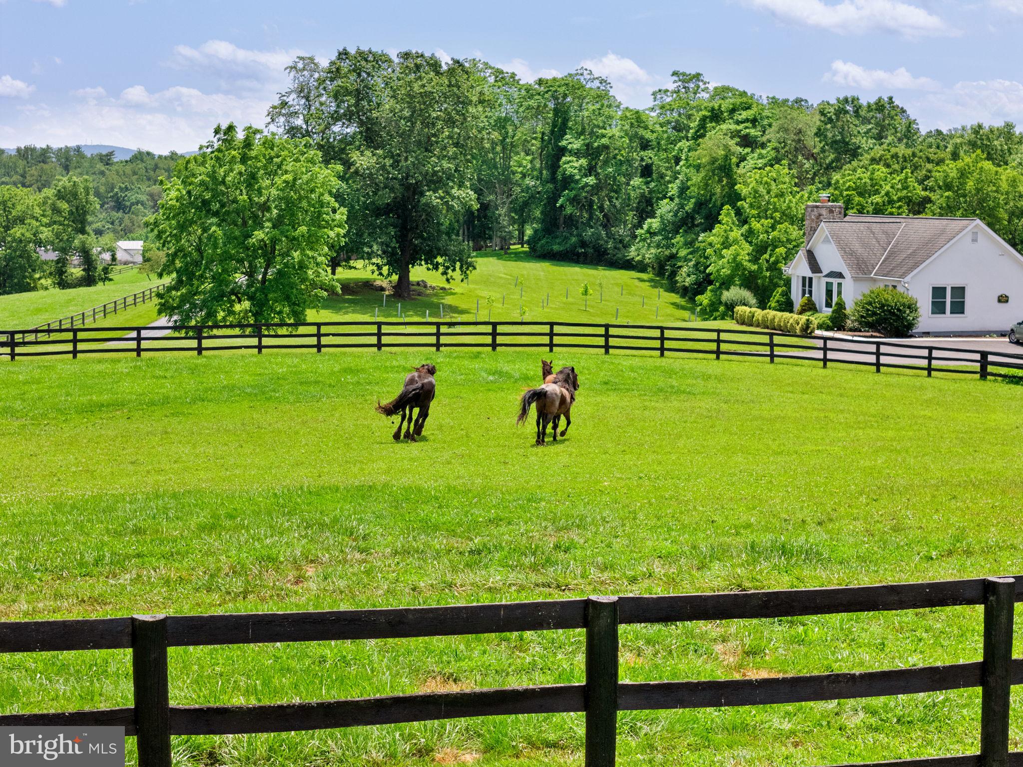 BENTON - Residential