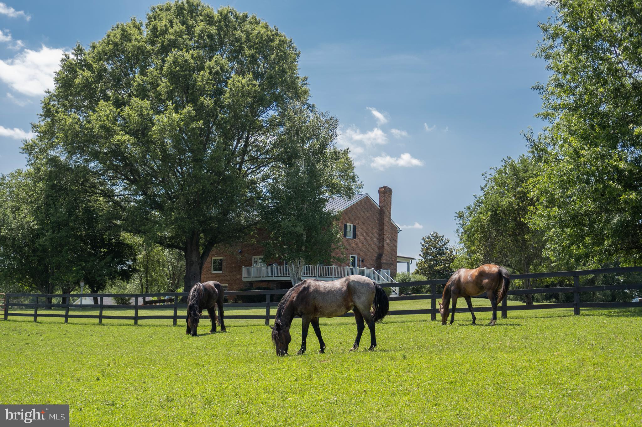 BENTON - Residential