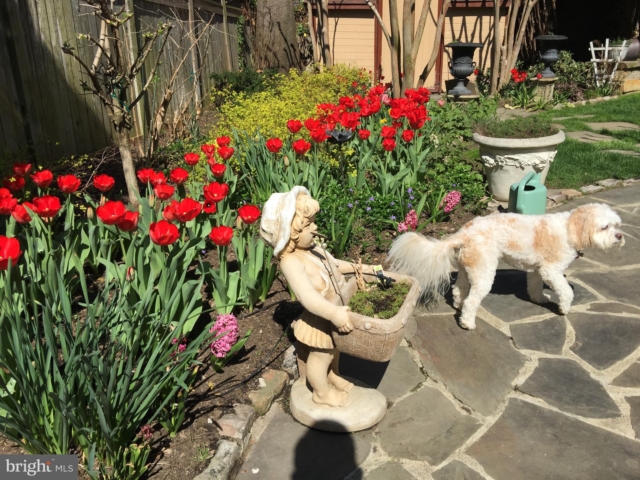 BELLE HAVEN - Residential