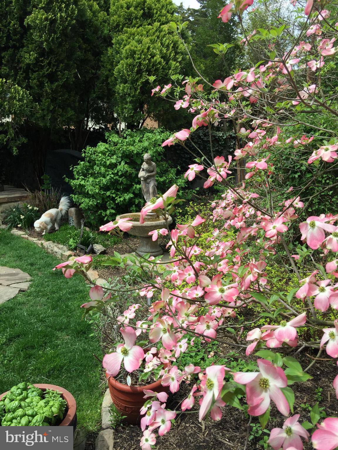 BELLE HAVEN - Residential