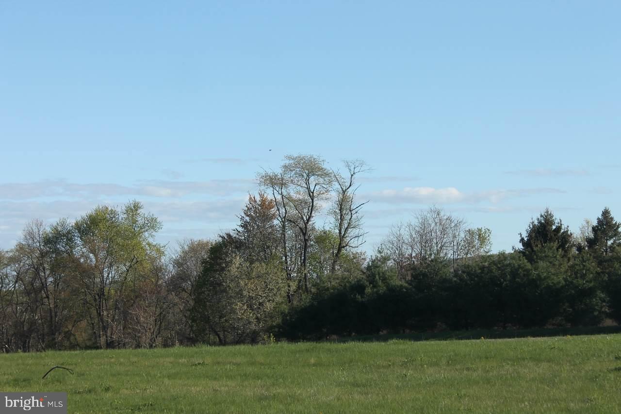 DONWOOD - Land