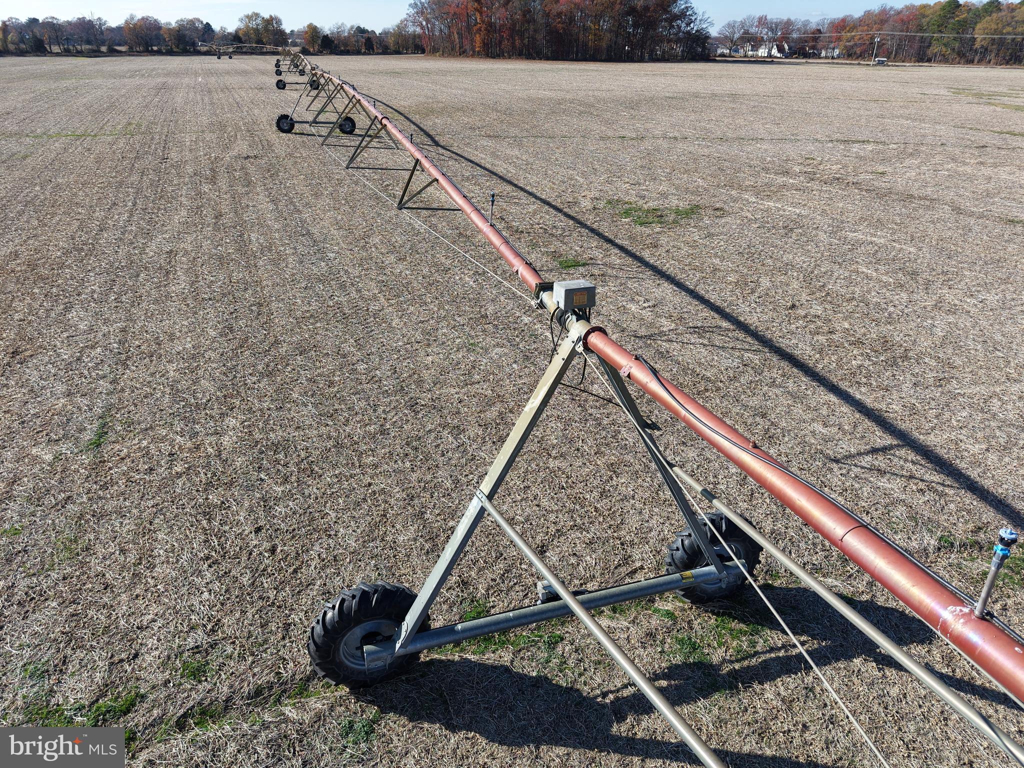 NONE AVAILABLE - Farm