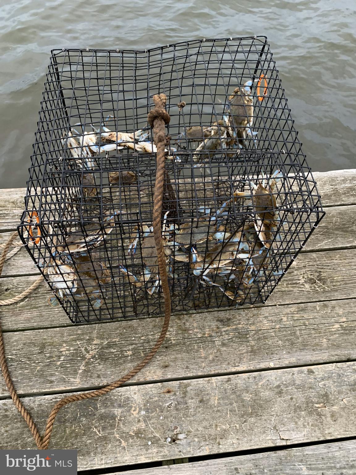 HERALD HARBOR - Residential