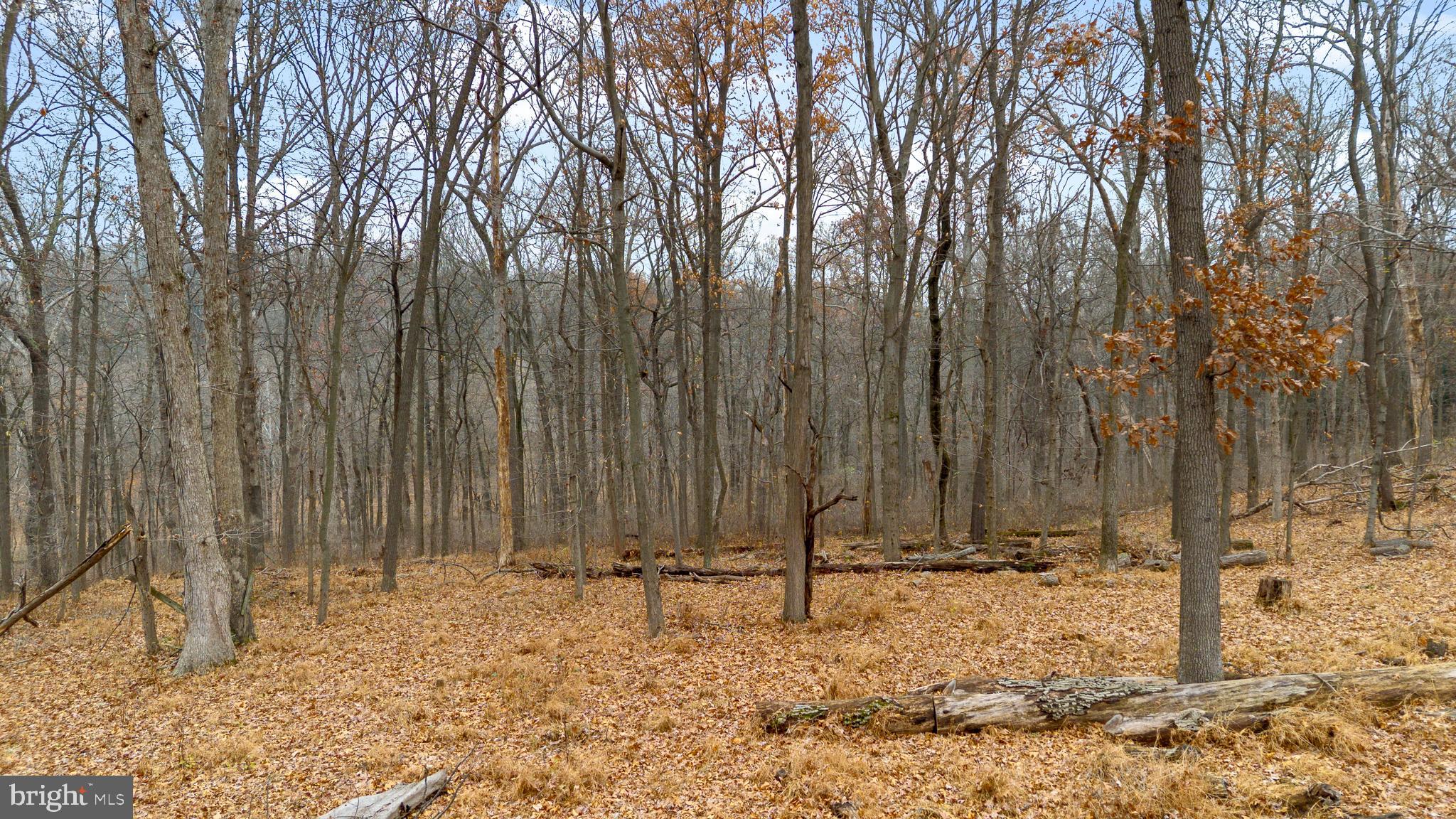 OLNEY MILL - Residential