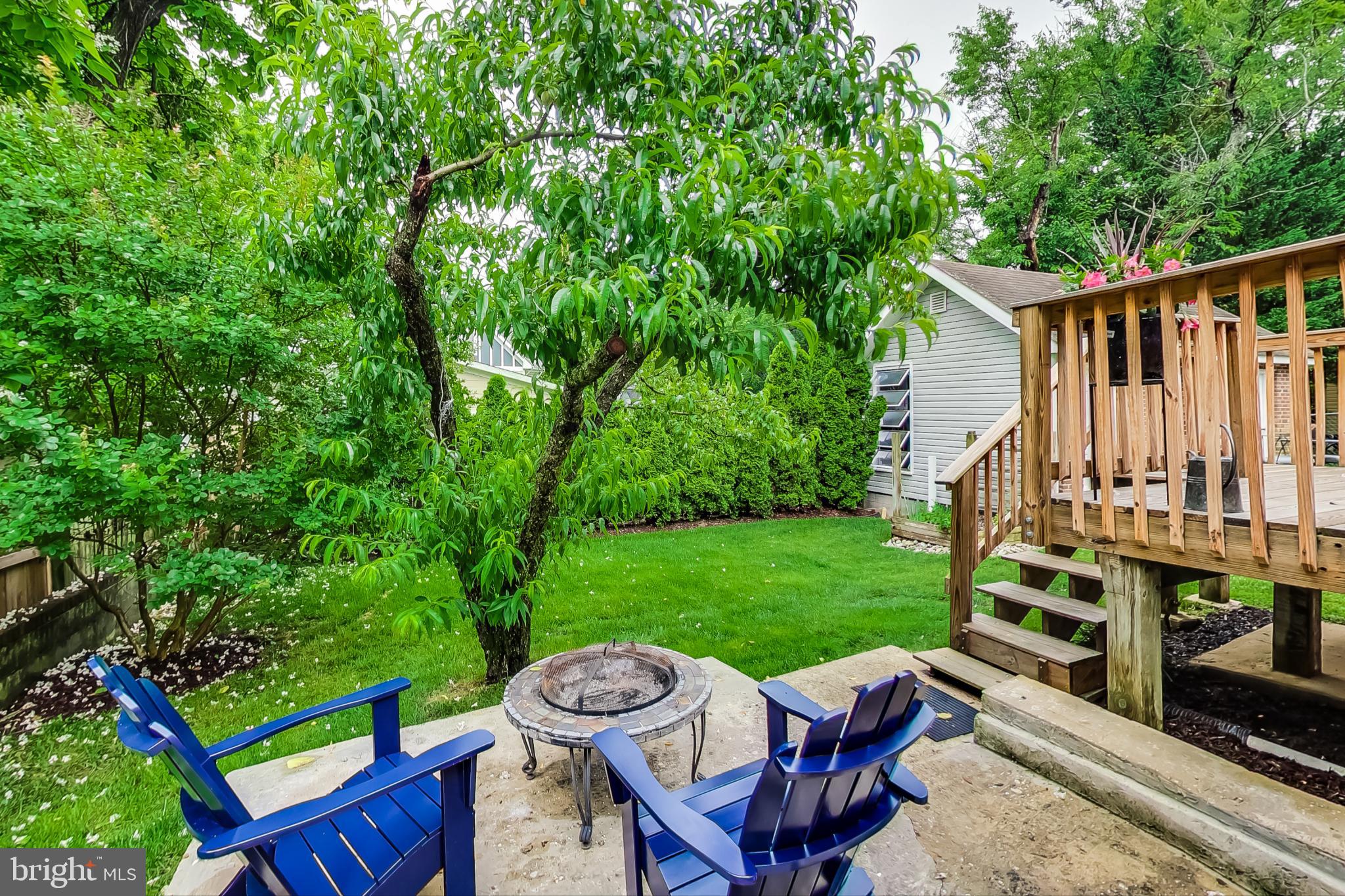 TAKOMA PARK - Residential