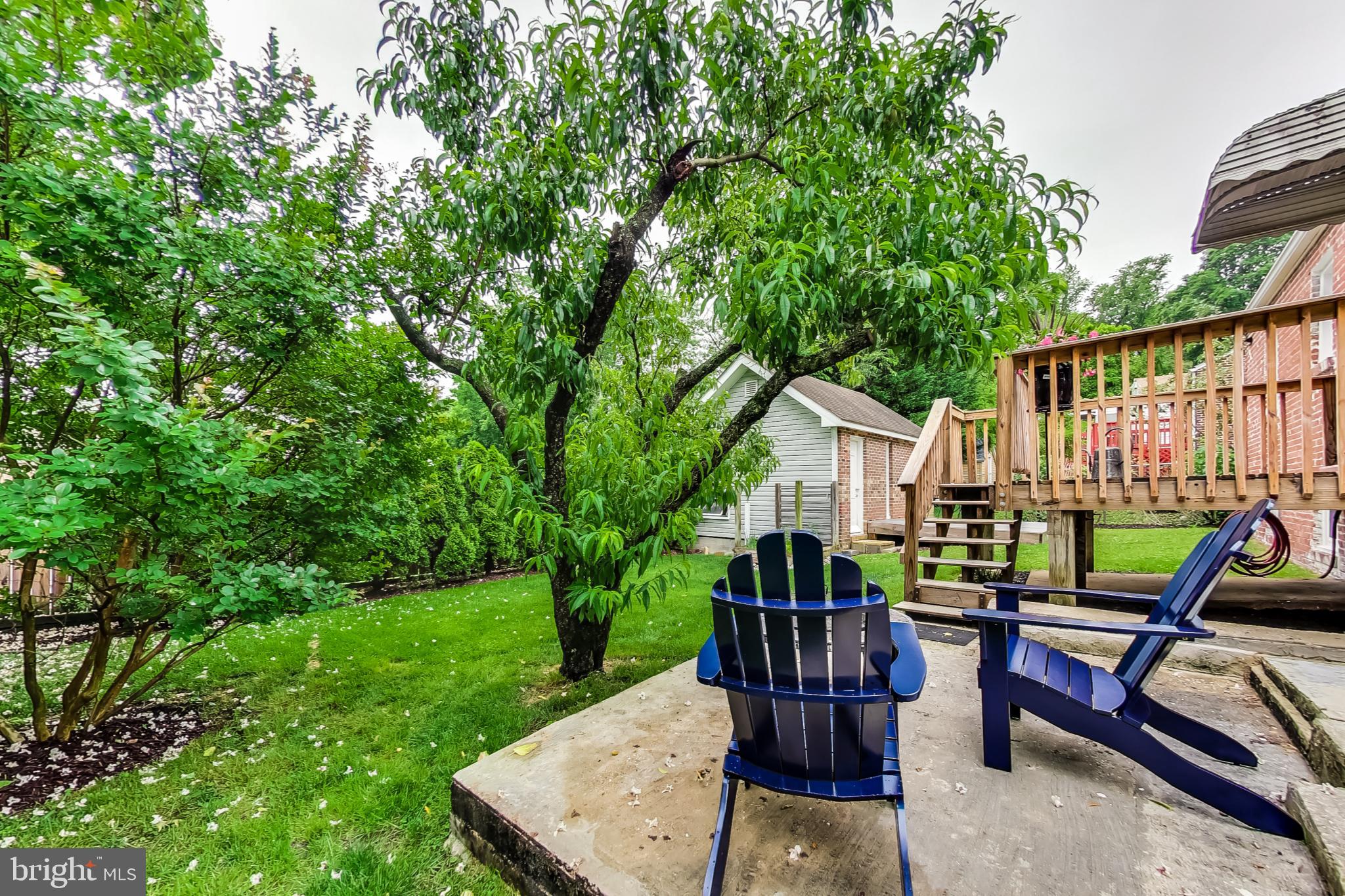 TAKOMA PARK - Residential